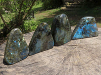 Polished Labradorite Standing Free Forms With Intense Blue Flash  x 4 From Tulear, Madagascar - TopRock