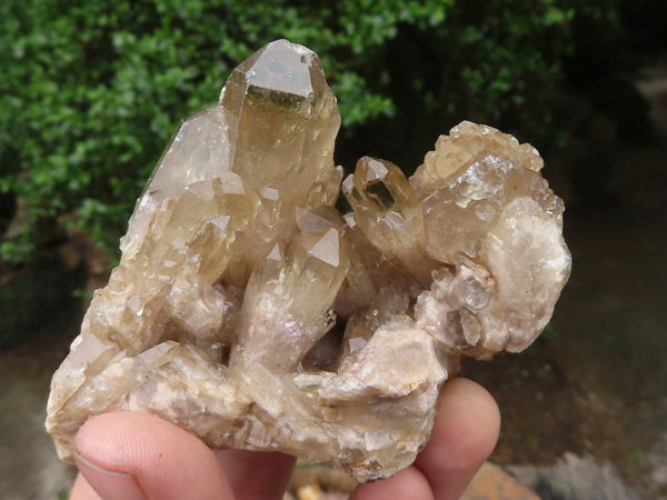 Natural Smokey Cascading Phantom Quartz Clusters  x 6 From Luena, Congo - TopRock