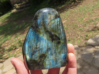 Polished Labradorite Standing Free Forms With Intense Blue Flash  x 4 From Tulear, Madagascar - TopRock