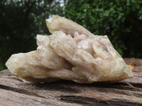 Natural Smokey Cascading Phantom Quartz Clusters  x 6 From Luena, Congo - TopRock