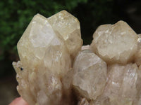 Natural Smokey Cascading Phantom Quartz Clusters  x 6 From Luena, Congo - TopRock