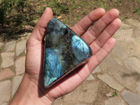 Polished Labradorite Standing Free Forms With Intense Blue Flash  x 4 From Tulear, Madagascar - TopRock