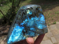 Polished Labradorite Standing Free Forms With Intense Blue Flash  x 4 From Tulear, Madagascar - TopRock