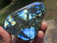 Polished Labradorite Standing Free Forms With Intense Blue Flash  x 4 From Tulear, Madagascar - TopRock