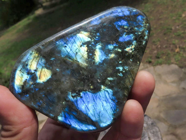 Polished Labradorite Standing Free Forms With Intense Blue Flash  x 4 From Tulear, Madagascar - TopRock