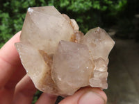 Natural Smokey Cascading Phantom Quartz Clusters  x 6 From Luena, Congo - TopRock