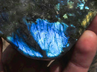 Polished Labradorite Standing Free Forms With Intense Blue Flash  x 4 From Tulear, Madagascar - TopRock