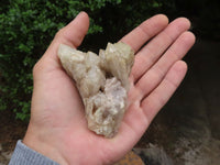 Natural Smokey Cascading Phantom Quartz Clusters  x 6 From Luena, Congo - TopRock