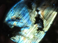 Polished Labradorite Standing Free Forms With Intense Blue Flash  x 4 From Tulear, Madagascar - TopRock