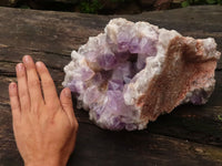 Natural Extra Large Jacaranda Amethyst Vug Specimen  x 1 From Mumbwa, Zambia - TopRock