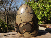 Polished Septerye Sauvage "Dragons" Egg Standing Free Form x 1 From Mahajanga, Madagascar