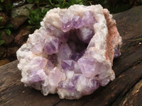 Natural Extra Large Jacaranda Amethyst Vug Specimen  x 1 From Mumbwa, Zambia - TopRock