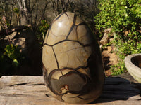 Polished Septerye Sauvage "Dragons" Egg Standing Free Form x 1 From Mahajanga, Madagascar