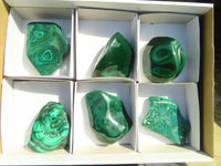 Polished Malachite Free Forms x 6 From Congo