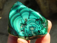 Polished Malachite Free Forms x 6 From Congo