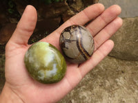 Polished Lovely Mixed Selection Of Palm Stones  x 12 From Madagascar - TopRock