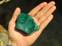 Polished Malachite Free Forms x 6 From Congo