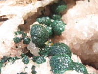 Natural Rare Ball Malachite On Drusi Quartz & Dolomite Matrix  x 1 From Kambove, Congo - Toprock Gemstones and Minerals 