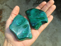 Polished Malachite Free Forms x 6 From Congo