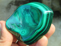 Polished Malachite Free Forms x 6 From Congo