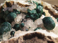 Natural Rare Ball Malachite On Drusi Quartz & Dolomite Matrix  x 1 From Kambove, Congo - Toprock Gemstones and Minerals 