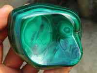 Polished Malachite Free Forms x 6 From Congo