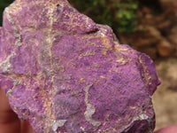 Natural Selected Rough Purpurite Specimens  x 6 From Namibia - TopRock