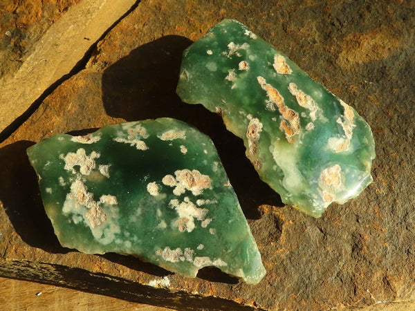 Polished On One Side Emerald Mtorolite Plates x 12 From Mutorashanga, Zimbabwe