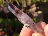 Natural Single Window Amethyst Crystals  x 70 From Chiredzi, Zimbabwe