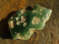 Polished  One Side Polished Emerald Mtorolite Plates  x 12 From Zimbabwe