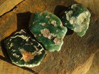 Polished  One Side Polished Emerald Mtorolite Plates  x 12 From Zimbabwe