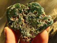 Polished  One Side Polished Emerald Mtorolite Plates  x 12 From Zimbabwe