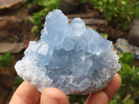 Natural Blue Celestite Crystal Specimens  x 5 From Sakoany, Madagascar - Toprock Gemstones and Minerals 