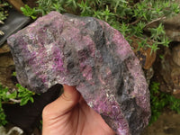 Natural XXX Rare Large Rough Sugilite Specimen  x 1 From Wessels Mine, South Africa - TopRock