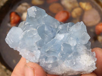 Natural Blue Celestite Crystal Specimens  x 5 From Sakoany, Madagascar - Toprock Gemstones and Minerals 