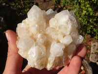 Natural White Phantom Candle Quartz Clusters x 4 From Madagascar