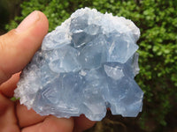 Natural Blue Celestite Crystal Specimens  x 5 From Sakoany, Madagascar - Toprock Gemstones and Minerals 