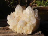 Natural White Phantom Candle Quartz Clusters x 4 From Madagascar