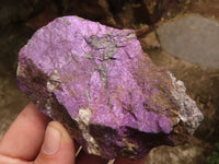 Natural Cobbed Purpurite Specimens  x 6 From Namibia - TopRock