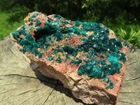 Natural Gorgeous Cabinet Dioptase Specimen, Deep Shiny Emerald Green Crystals On Calcite & Rouge Dolomite Matrix x 1 From Renneville Brazzaville, Congo - TopRock