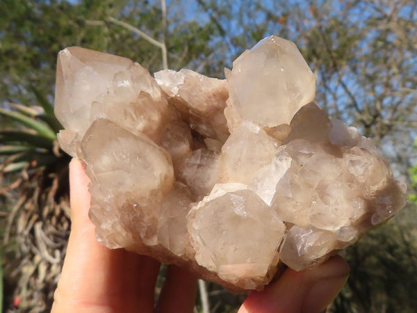 Natural Cascading White Phantom Smokey Quartz Clusters  x 6 From Luena, Congo - Toprock Gemstones and Minerals 