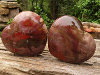 Polished Petrified Red Podocarpus Wood Hearts  x 2 From Mahajanga, Madagascar - Toprock Gemstones and Minerals 