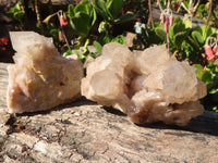 Natural Cascading White Phantom Smokey Quartz Clusters  x 6 From Luena, Congo - Toprock Gemstones and Minerals 