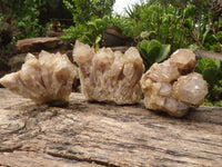 Natural Cascading White Phantom Smokey Quartz Clusters  x 3 From Luena, Congo - Toprock Gemstones and Minerals 