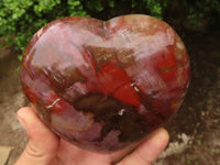 Polished Petrified Red Podocarpus Wood Hearts  x 2 From Mahajanga, Madagascar - Toprock Gemstones and Minerals 