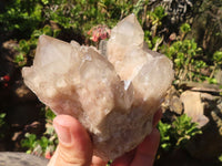 Natural Cascading White Phantom Smokey Quartz Clusters  x 6 From Luena, Congo - Toprock Gemstones and Minerals 