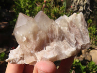 Natural Cascading White Phantom Smokey Quartz Clusters  x 6 From Luena, Congo - Toprock Gemstones and Minerals 