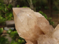 Natural Cascading White Phantom Smokey Quartz Clusters  x 3 From Luena, Congo - Toprock Gemstones and Minerals 