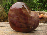 Polished Petrified Red Podocarpus Wood Hearts  x 2 From Mahajanga, Madagascar - Toprock Gemstones and Minerals 