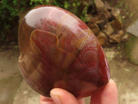 Polished Petrified Red Podocarpus Wood Hearts  x 2 From Mahajanga, Madagascar - Toprock Gemstones and Minerals 